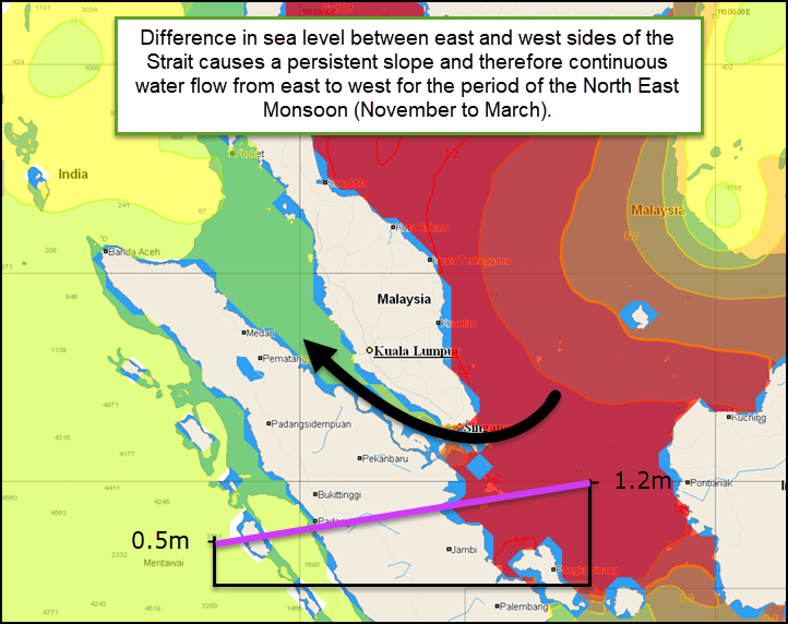 korea 5++ year oil spill study confirms spill have genotoxic effects on